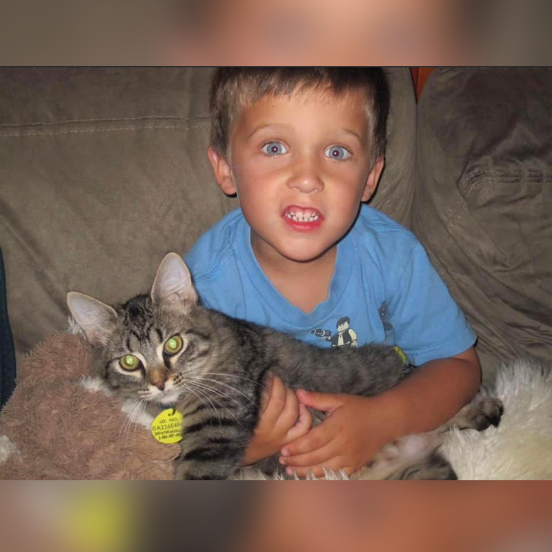 Angela's son with Derek the kitty lost 11 years ago as a kitten, Detective work by Animal Control Officer Alfredson, Jacksonville
