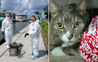 Martin County Sheriff's Office (MCSO) and Animal Services, Captain Jack the cat rescued from boat after owner passed away, Stuart, Florida, Humane Society of the Treasure Coast