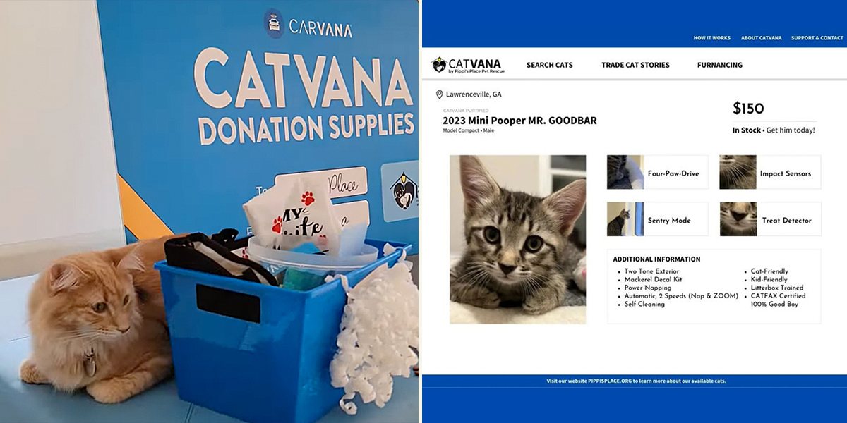 Catvana, mock ad for Pippi's Place Pet Rescue, Lawrenceville, Georgia, Kayla Decoure, cat rescue, Carvana