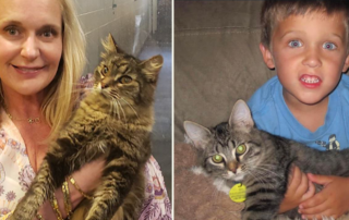 Angela Green and her son with Derek the cat, Jacksonville, Florida, Animal Care & Protective Services, Officer Alredson put on detective hat to track down microchip information for a reunion after 11 years