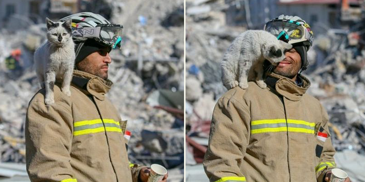 Firefighter Ali Cakas with Enkas or Rubble the cat from Turkey, Mardin
