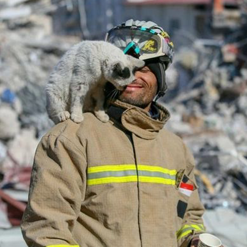 Firefighter Ali Cakas with Enkas or Rubble the cat from Turkey