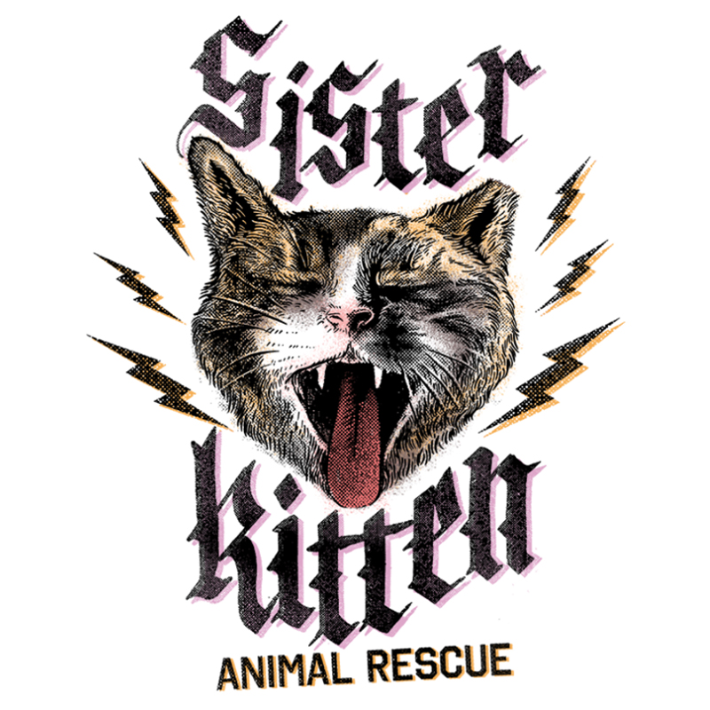 Sister Kitten rescue in Maggie Valley, North Carolina via Facebook