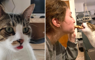 Let's be SMART, rescue, Greece, Paris, France, chef, cat, foodie, culinary capital, Smokey the rescued cat