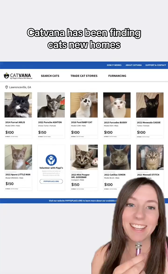 Cat rescue adoption ads CatVana modeled after Carvana