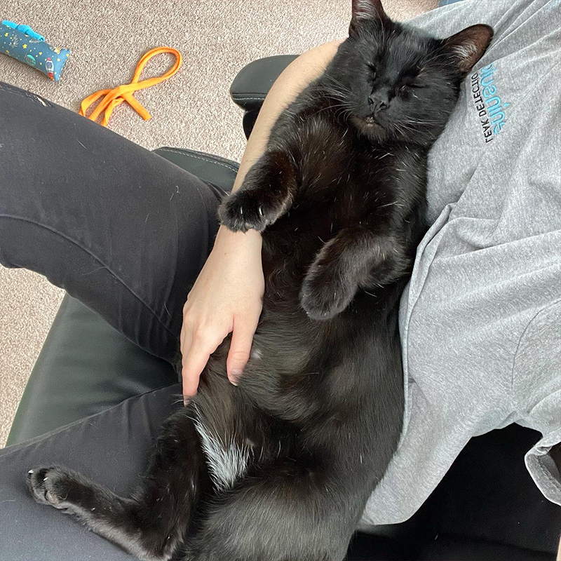 Haley holding Bear the black cat like a baby, jankycats, feeder of cats