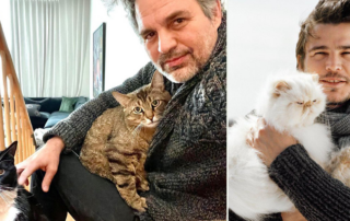 Cat Dad therapy, celebrity men with cats, Mark Ruffalo and Josh Hartnett