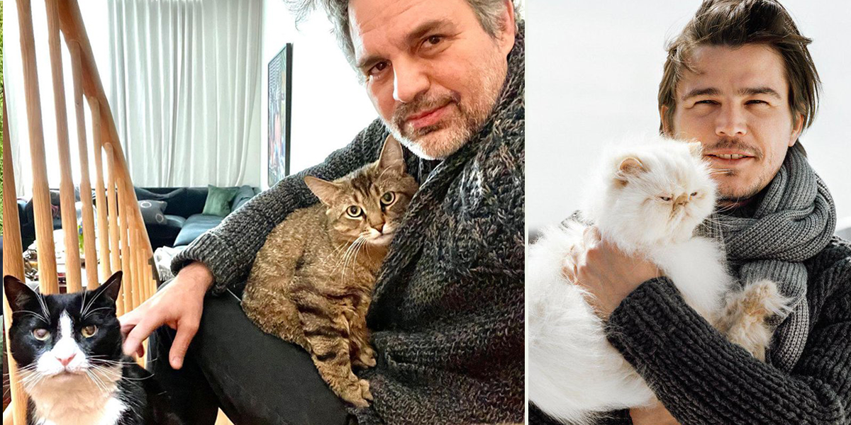 Cat Dad therapy, celebrity men with cats, Mark Ruffalo and Josh Hartnett
