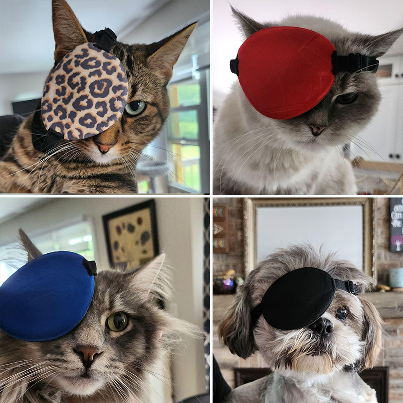 Family poses with eye patches after adopting foster kitten Doug, who lost an eye due to feline herpes, 3