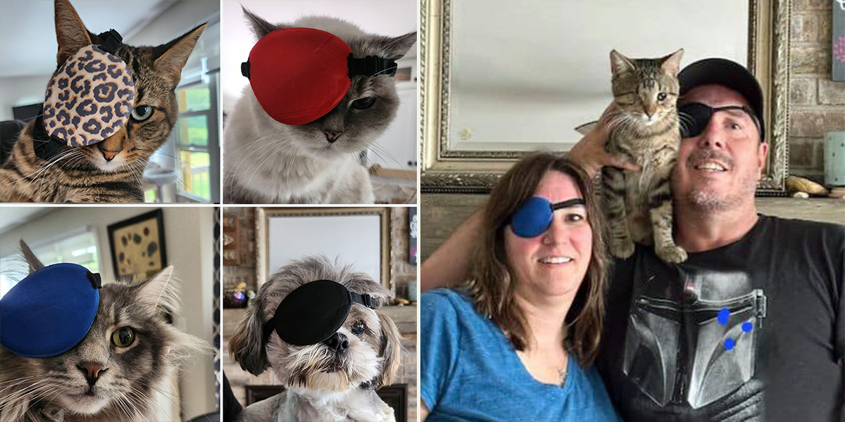 Doug, One-eyed kitten, Purrfect Rescue Inc. Crystal Lake, Illinois, pirate kitty, feline herpes, blind foster kitten