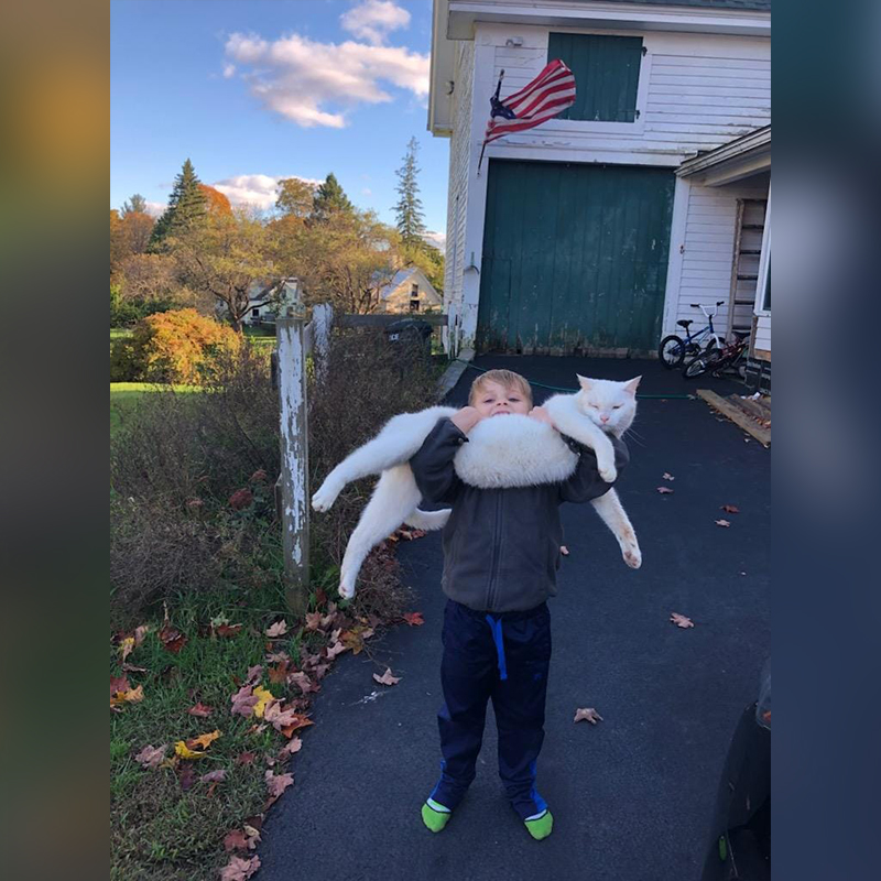 Gavin holds his kitty Big Steve in New Hampshire via Facebook/Tip My Ear TNR & Rescue