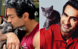 Kumail Nanjiani with his cat Olive and in a BuzzFeed interview with rescued kittens from Heaven on Earth, Perry's Place, Seth MacFarlane, Emily V. Gordon