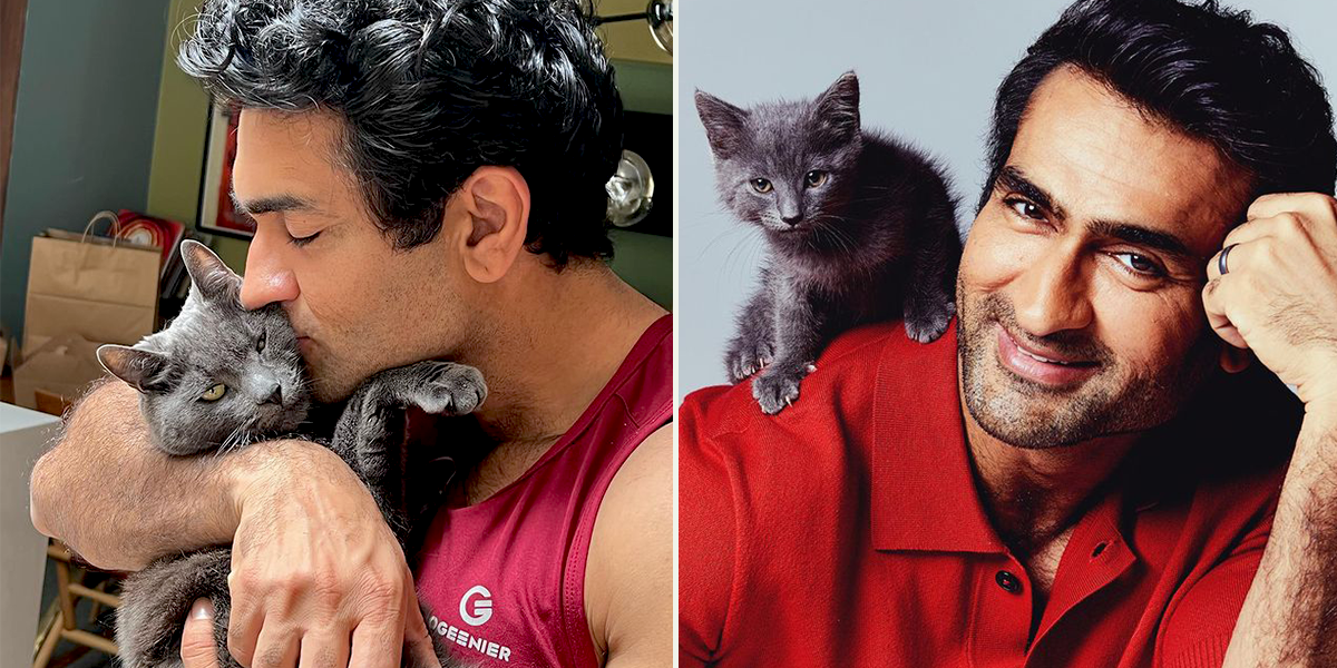 Kumail Nanjiani with his cat Olive and in a BuzzFeed interview with rescued kittens from Heaven on Earth, Perry's Place, Seth MacFarlane, Emily V. Gordon