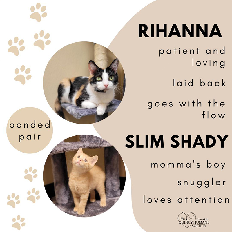 Rihanna and Slim Shady, her baby at Quincy Humane Society in Illinois