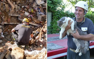 Rocco became a 'Miracle Cat' after surviving a 6.2-magnitude earthquake in central Italy, rescued 32 days later in Amatrice, Italy, Christiana Grazian