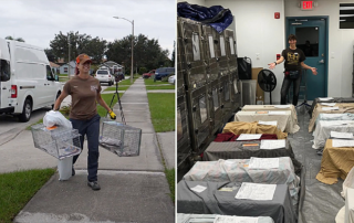 Winter Garden, TNR, trap, neuter, release, TNVR, Pet Alliance partnership to help community cats, feral, stray