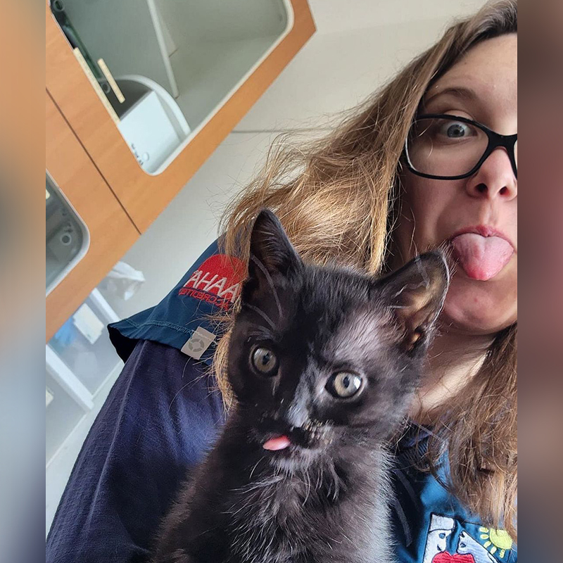Volunteer Lisa with kitten named Bing Bong, Kitten Rescue Life 
