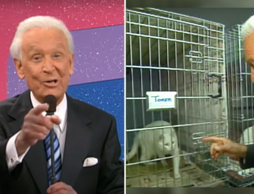 Why Bob Barker Loved Being Known for Spaying, Neutering, and Saving Animals