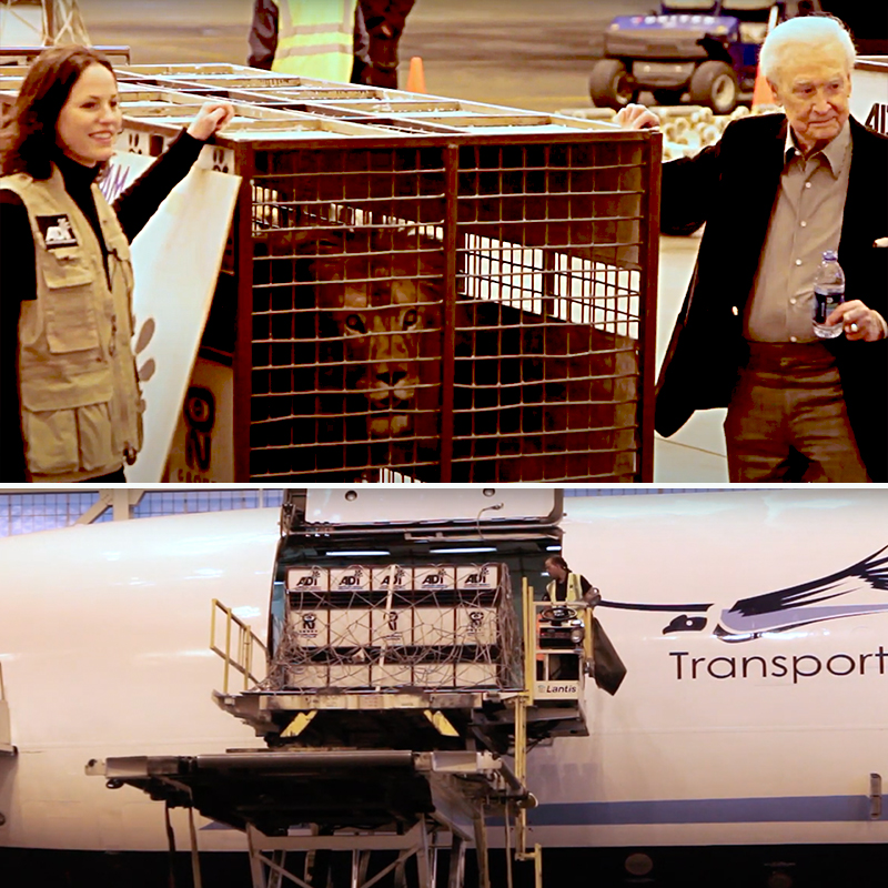 Bob Barker with Animal Defenders International at the Denver Airport for Operation Lion Ark