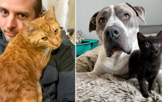 False Cat Myths That Should Go in the Proverbial Litterbox, Atlas the dog, Cat Man Chris with Bond