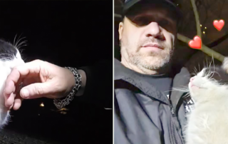 Bob Lynch, Philadelphia rescuer, missing colony cat Spot is found in a happy reunion after a month missing, Cowboy Cat Wrangler