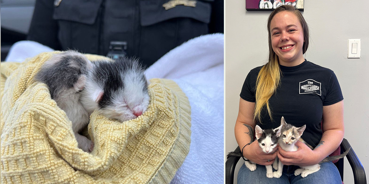 Planned PEThood of GA, Officer Baalson, Duluth, Georgia, two kittens tossed from moving SUV