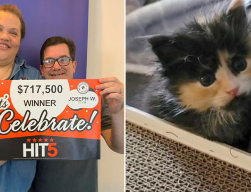 Tacoma Postal Worker’s Rescue of Cute Calico Kitten Led to Lucky Lottery Win!
