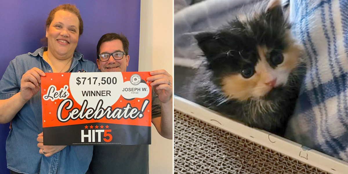 Tacoma, Washington postal worker Joseph Waldherr and wife Tristin win the Hit 5 Lotto after rescuing and adopting a calico kitten named Peaches