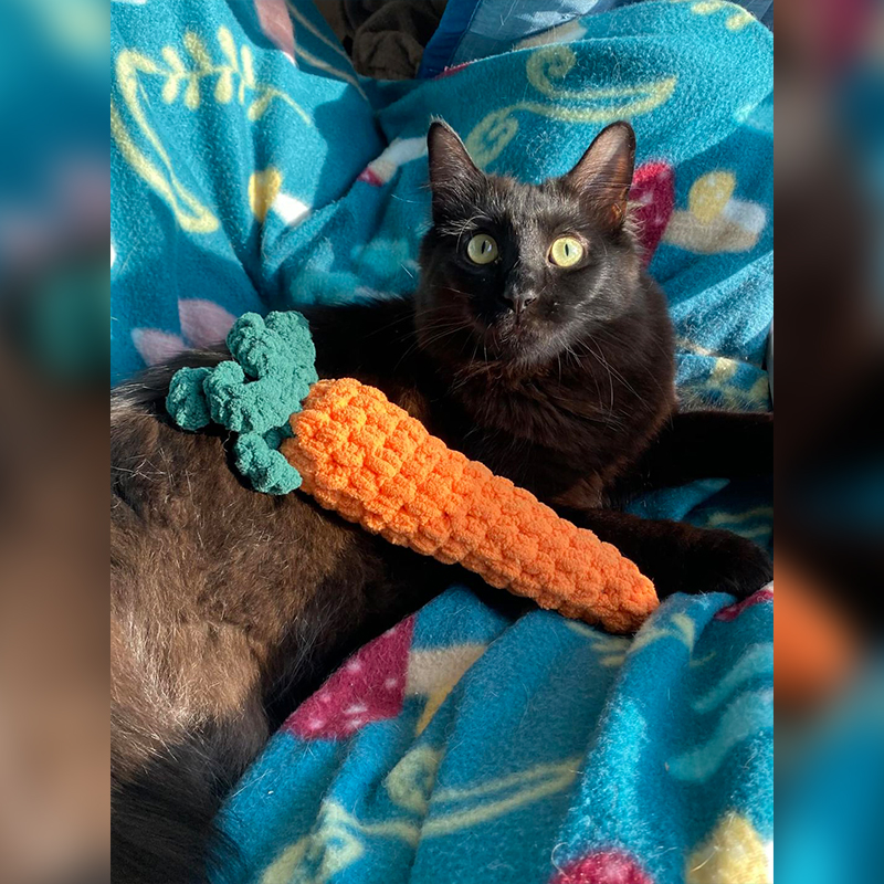 Maz playing with a handmade carrot toy by Jess