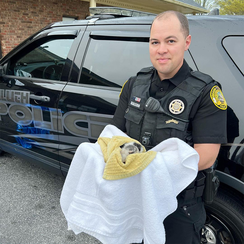 Officer Baalson ,Duluth Police Department, kittens, rescue, Planned PEThood of GA 