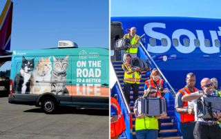 Southwest Airlines, Greater Good Charities, Oregon Humane Society, Maui cats, rescued 92 cats from Maui, fires, Portland