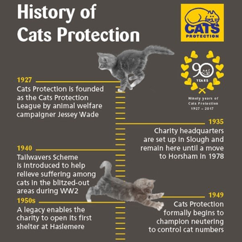 History of Cats Protect in the UK, TNR efforts in the 1950s