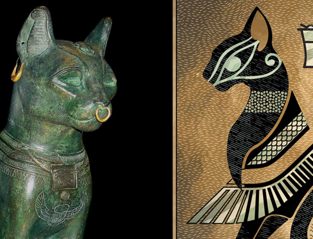 Study Shows Black And White Cats Most Likely To Have Cattitude Cole