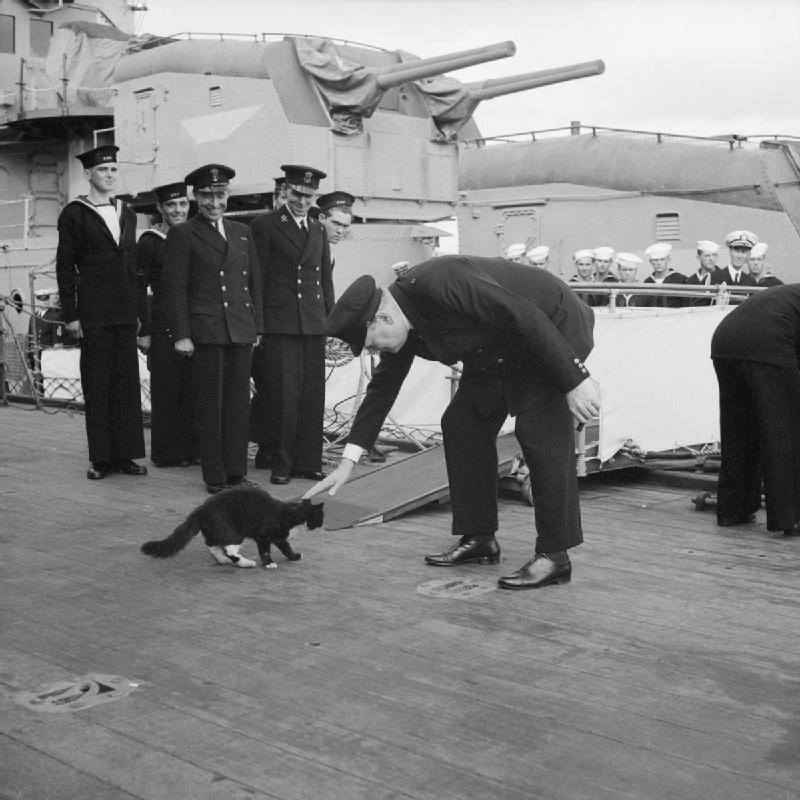 Sailors with a polydactyl cat, seen as good luck