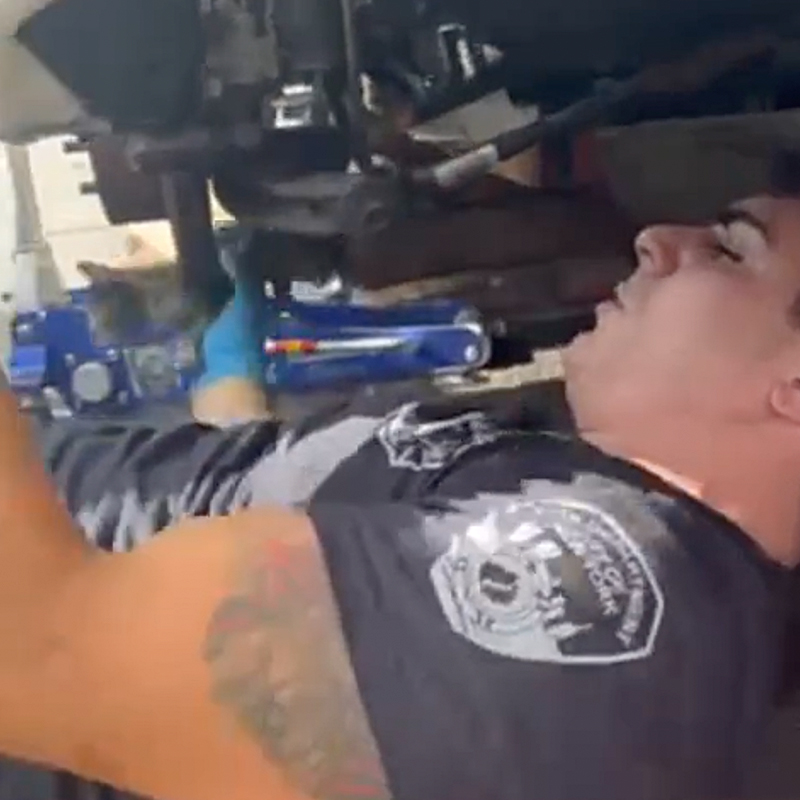 Firefighter Anthony Caliendo, a mechanic, works to free trapped kitten, 2