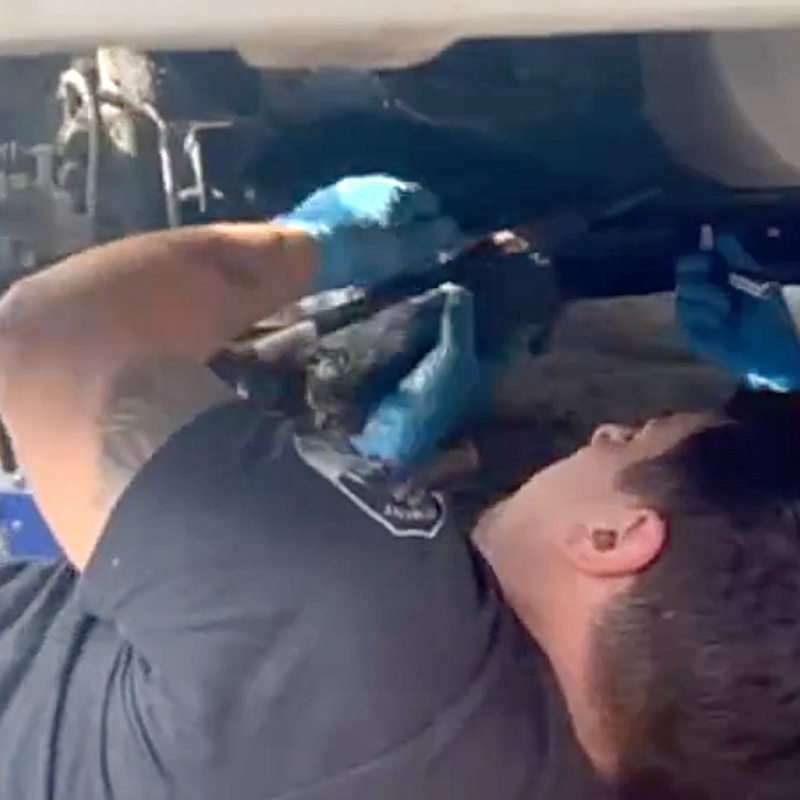 Firefighter Anthony Caliendo, a mechanic, works to free trapped kitten