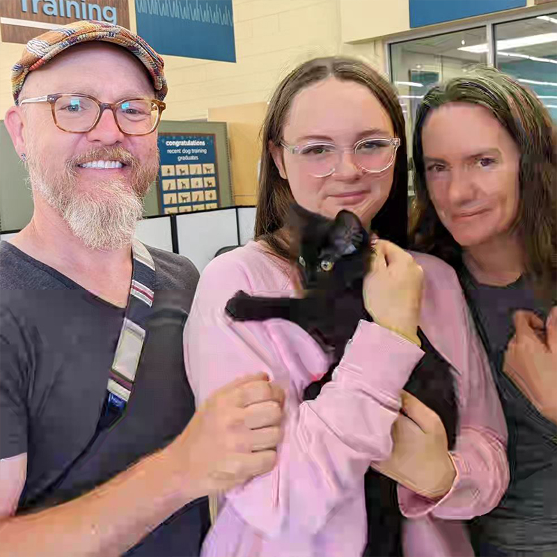 Family adopts Cowboy from the Full Metal Jacket litter, Sister Kitten Animal Rescue in Maggie Valley, NC