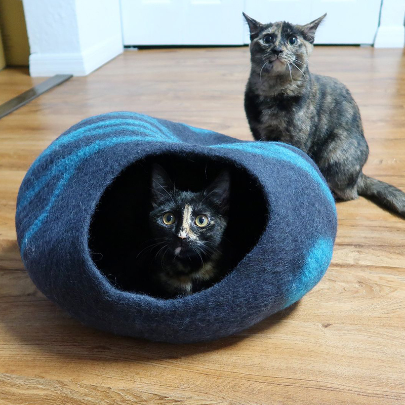 Jugg and Zig Zag in their wool cat bed, Cole and Marmalade