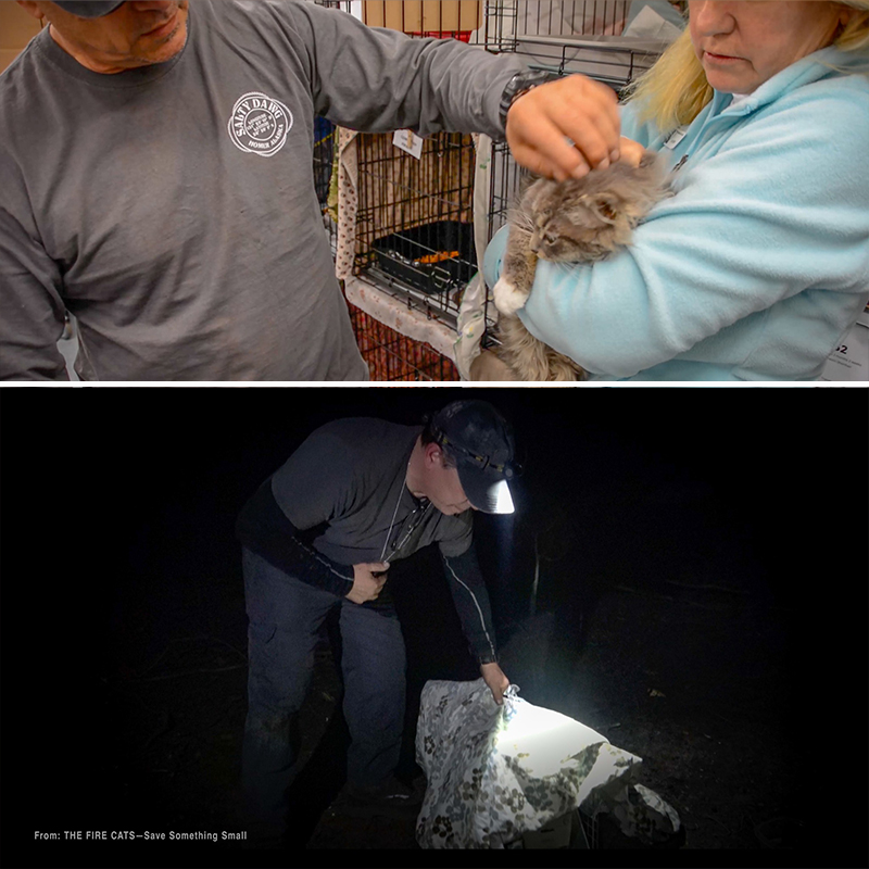 Shannon Jay and Joy Smith of FieldHaven Feline Center, image from the documentary The Fire Cats, Save Something Small