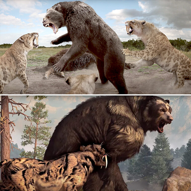 The Biggest, Baddest Prehistoric Cats that Hunted Giant Prey