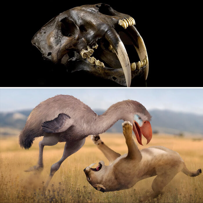 The Biggest, Baddest Prehistoric Cats that Hunted Giant Prey