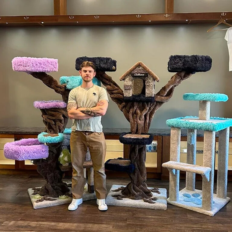 Spooktacular 'Cat Cribs' We'd Want Our Cats to Prowl All Year