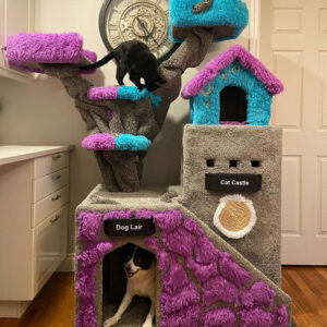 Spooktacular 'Cat Cribs' We'd Want Our Cats to Prowl All Year