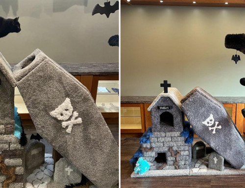 Spooktacular ‘Cat Cribs’ We’d Want Our Cats to Prowl All Year