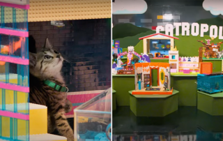 LEGO Masters and Kittens, Best Friends Animal Society Houston, Legos, Catropolis, FOX, Hulu, Will Arnett