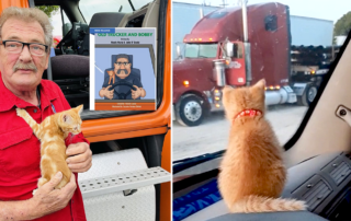 Mike Mattingly, Old Trucker and Bobby, Kittens in a truck, rescued kittens from Bear Creek, Alabama
