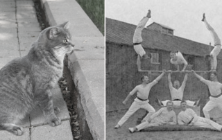 Knockaloe Internment Camp, Pilates, Isle of Man, Manx cat, Knockaloe Internment Camp, Mannin Collections Archive, Joseph Hubertus Pilates, Germany, Yoga, exercise