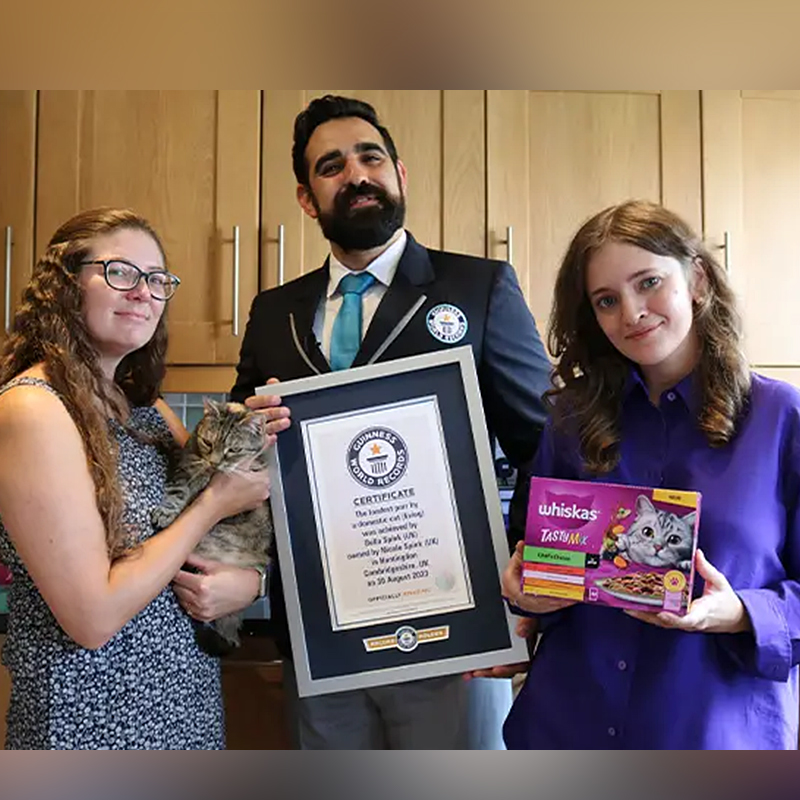 Bella with owner Nicole, Adjudicator Dave and Polina, WHISKAS® EU Brand Manager via Guinness World Records, purr monster, purr monsters