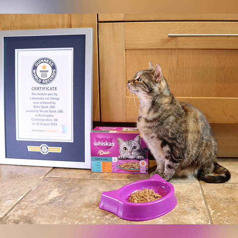 Bella with her Guinness World Record and favorite food