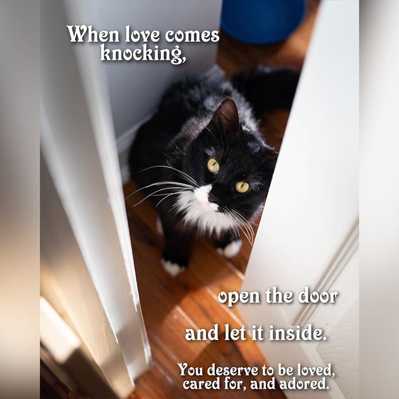 Carl lets love in through the door, Henry's Thoughts, Carl's Thoughts